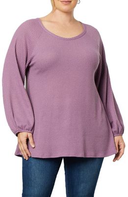 Kiyonna Whimsical Waffle Knit Top in Dusty Lilac