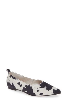 Klub Nico Naomi Scallop Pointy Toe Flat in Cow Suede