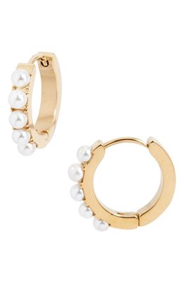 Knotty Imitation Pearl Mini Hoop Earrings in Gold