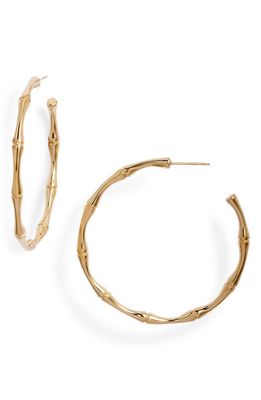 Knotty Textured Hoop Earrings in Gold