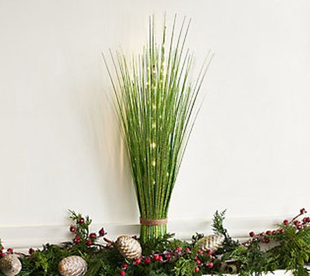 Kringle Express 24" Illuminated Metallic Grass