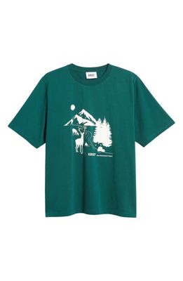 KROST Oversize Forest Eden Graphic T-Shirt in Botanical Garden