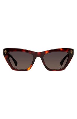 Kurt Geiger London 51mm Cat Eye Sunglasses in Havana/Brown Gradient