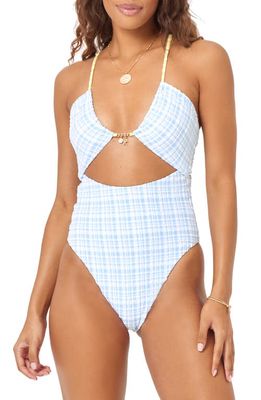 L Space Rizzo Cutout One-Piece Swimsuit in Powder Blue
