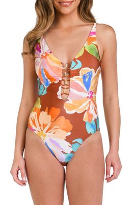 La Blanca Saharan Sands One-Piece Swimsuit in Cinnamon 