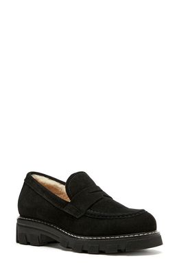 La Canadienne Darcy Genuine Shearling Lined Loafer in Black Suede