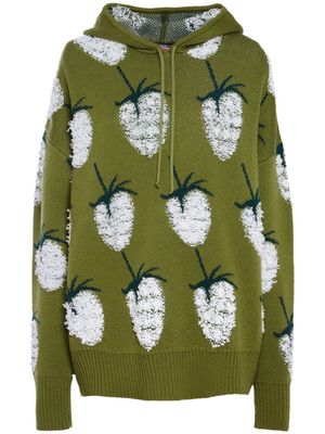 La DoubleJ Lampone patterned intarsia-knit hoodie - Green
