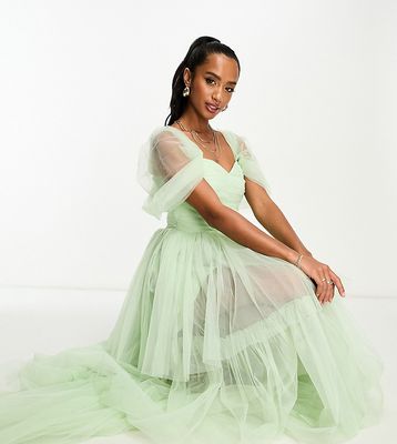 Lace & Beads Petite exclusive off shoulder high low tulle maxi dress in sage green