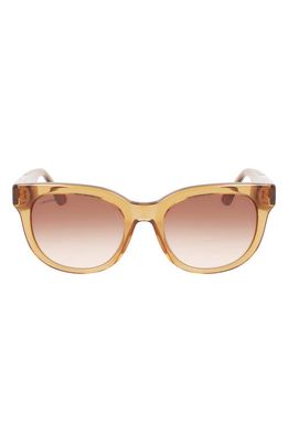 Lacoste 52mm Oval Sunglasses in Transparent Caramel 