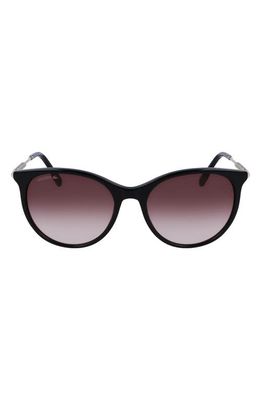 Lacoste 54mm Gradient Oval Sunglasses in Black
