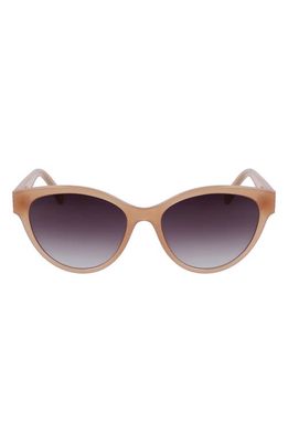 Lacoste 55mm Gradient Cat Eye Sunglasses in Nude