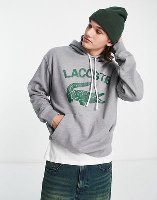 Lacoste large logo hoodie in gray