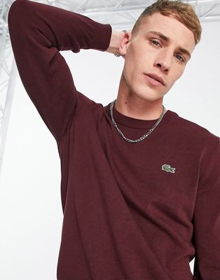 Lacoste logo crew neck knit sweater in burgundy-Red