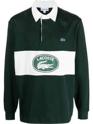Lacoste logo-stripe polo shirt - Green