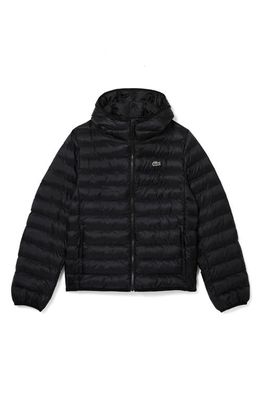 Lacoste Quilted Puffer Coat in 031 Noir