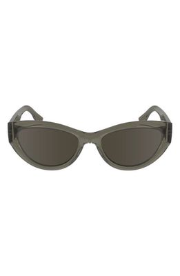 Lacoste Sport 54mm Cat Eye Sunglasses in Transparent Brown