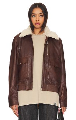 LAMARQUE Klemence Bomber Jacket in Chocolate