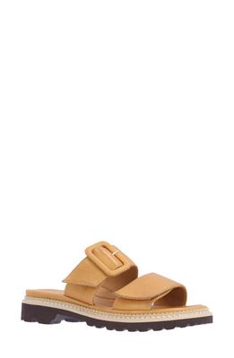 L'Amour des Pieds Dalbir Slide Sandal in Lioness