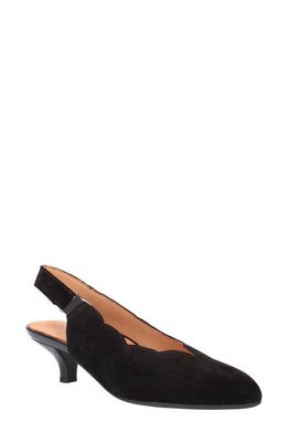 L'Amour des Pieds Hulda Kitten Heel Slingback Pump in Black