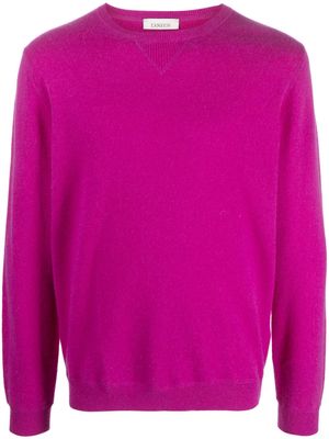 Laneus fine-knit cashmere jumper - Purple