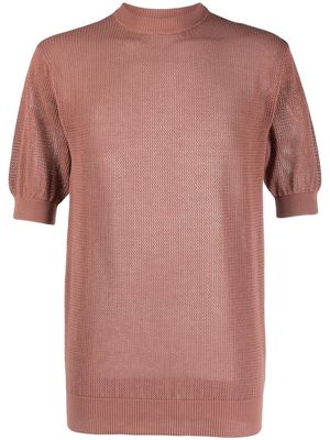 Laneus short-sleeve cotton T-shirt - Brown