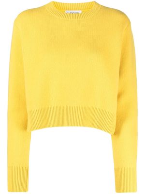 Lanvin cashmere-wool blend jumper - Yellow