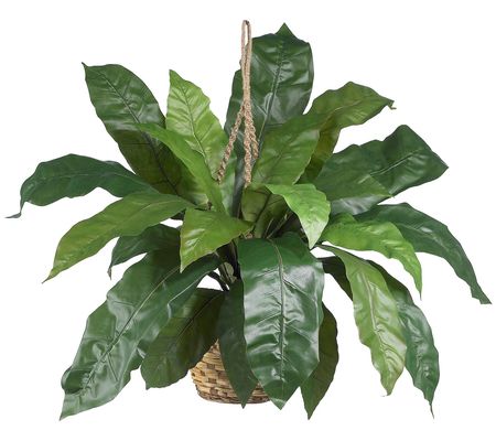 Large Birds Nest Fern Hanging Basket by Nearly Natural