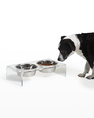 Large Clear Double Dog Bowl Feeder with 1 Quart Silver Bowls