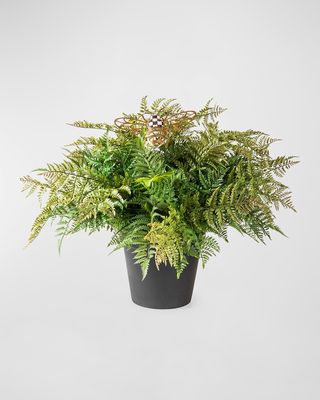 Large Potted Fern with Bee Stake