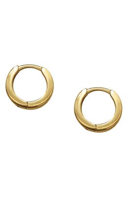 Laura Lombardi Dainty Hoop Earrings in Brass