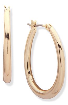 Lauren Ralph Lauren Oval Hoop Earrings in Gold