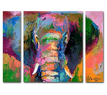 Lavish Home Richard Wallich "Elephant 2" Multi- Panel Set