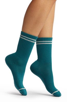 Le Bon Shoppe Boyfriend Stripe Cotton Blend Rib Crew Socks in Kismet