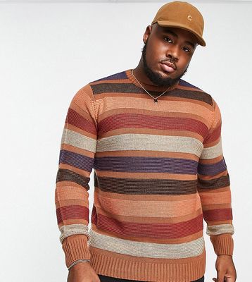 Le Breve Plus color wave knit sweater in brown