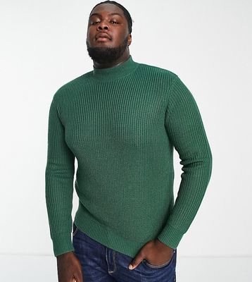 Le Breve Plus ribbed turtle neck sweater in dark green