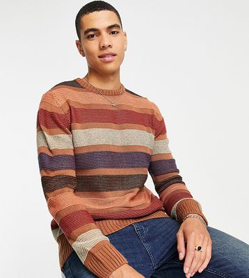 Le Breve Tall color wave knit sweater in brown