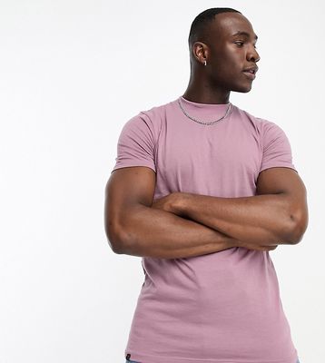 Le Breve Tall high neck t-shirt in purple
