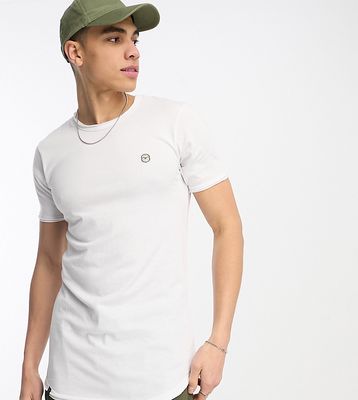 Le Breve Tall longline curved hem t-shirt in white