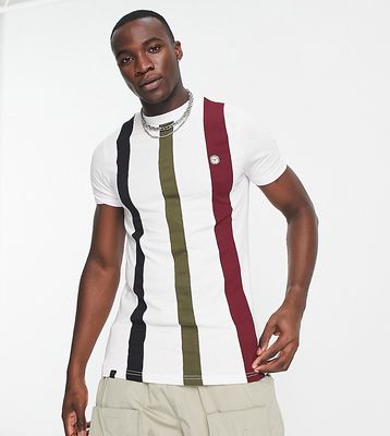 Le Breve Tall stripe T-shirt in white & burgundy