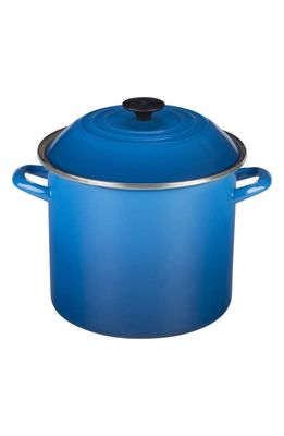 Le Creuset 10-Quart Enameled Steel Stockpot in Marseille