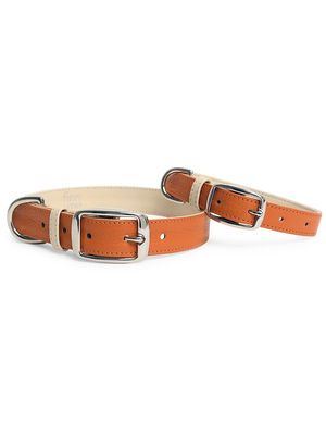 Leather Dog Collar - Burnt Orange - Size Large - Burnt Orange - Size Large