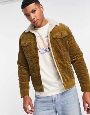 Lee sherpa borg lined wide wale cord jacket in tan-Brown