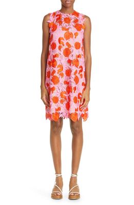 Lela Rose Embroidered Fruit Guipure Lace Shift Dress in Peony