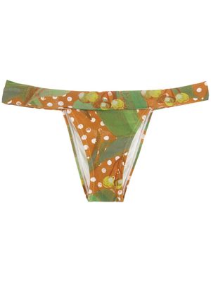 Lenny Niemeyer leaf-print bikini bottoms - Green