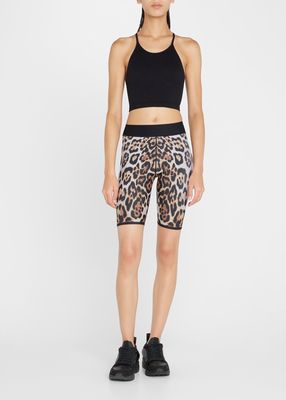 Leopard Spice Aero Shorts