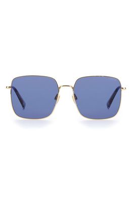 levi's 56mm Square Sunglasses in Gold Grey/Blue