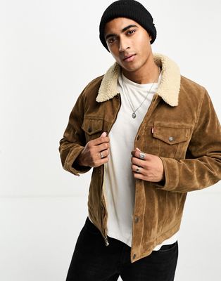 Levi's faux suede trucker jacket in brown