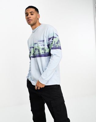 Levi's long sleeve T-shirt in blue with scenic chest print
