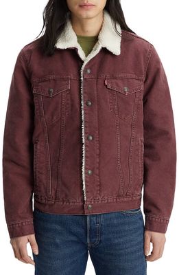 levi's Type 3 Faux Shearling Lined Trucker Jacket in Decadent Chocolate Canvas Sh