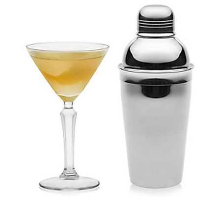 Libbey Capone 5-Piece Martini Glasses & Shaker Set